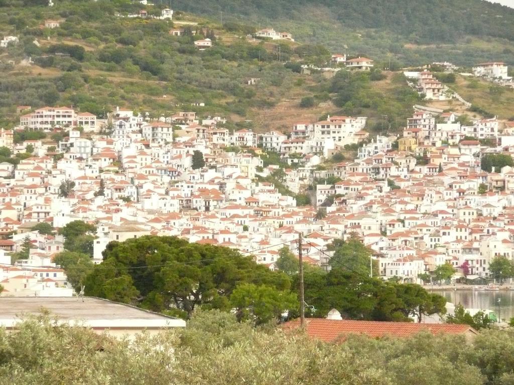 Filoxenia Διαμέρισμα Σκόπελος Εξωτερικό φωτογραφία